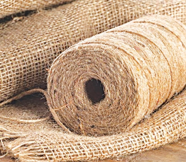 Vải đay